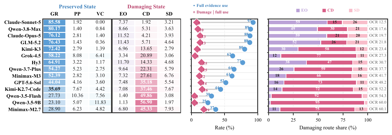 Decision-path mix by model.